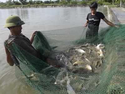 GEF phê duyệt hơn 46,6 triệu USD để hỗ trợ 8 quốc gia, trong đó có Việt Nam