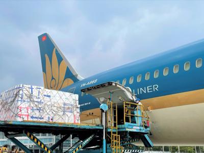 Vietnam Airlines planning to set up cargo airline