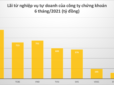 “Soi” danh mục của những công ty chứng khoán lãi kỷ lục mảng tự doanh