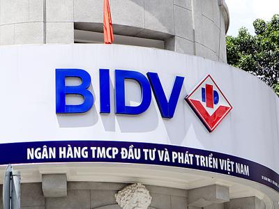 Soi lợi nhuận của BIDV