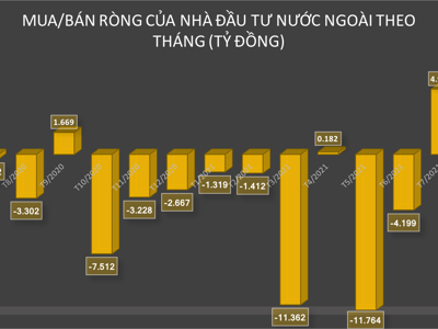 VDSC: Khối ngoại và Covid-19 đạt đỉnh là xung lực chính cho chứng khoán đi lên trong tháng 8