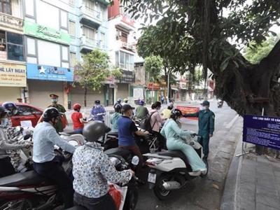 Siết mà thông - bài toán khó cho Hà Nội