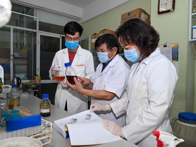 Việt Nam nghiên cứu thành công tiền lâm sàng thuốc điều trị Covid-19 từ thảo dược