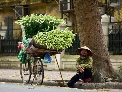 Hà Nội gỡ khó thủ tục hỗ trợ lao động tự do mất việc làm