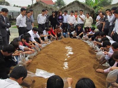 Cấp thiết đào tạo nghề để xây dựng lớp nông dân thế hệ mới