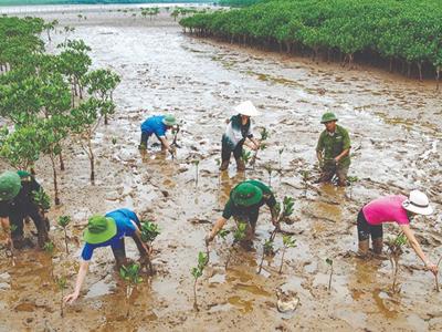 ADB tài trợ 60 triệu USD để Việt Nam cải thiện hạ tầng, thích ứng với biến đổi khí hậu