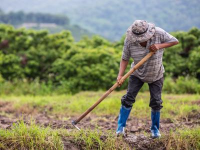 Biến đổi khí hậu là thách thức lớn nhất đối với nông dân khu vực Đông Nam Á