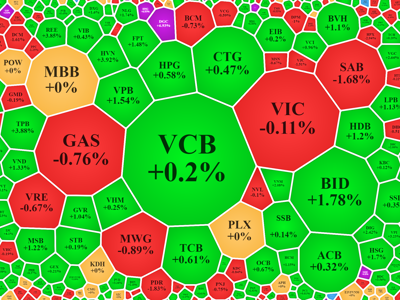 Tiền vẫn “né” blue-chips, đến lượt Midcap thăng hoa