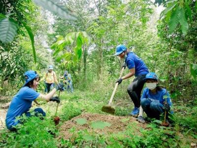 Giao đất, giao rừng “dậm chân tại chỗ” suốt 10 năm, gần 3 triệu ha rừng vẫn chưa có chủ. 