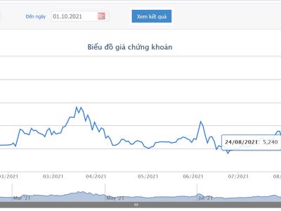 VPH bị đình chỉ kinh doanh bất động sản trong vòng 12 tháng, Quỹ ngoại Pyn Elite Fund liên tục thoái vốn 