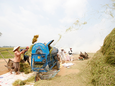 Nông nghiệp thể hiện vai trò bệ đỡ cho nền kinh tế