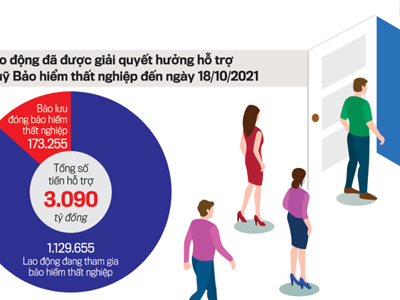 Khẩn trương giải quyết chính sách bảo hiểm thất nghiệp
