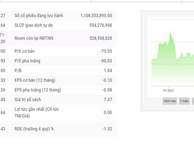 9 tháng, HNG lỗ tiếp 304 tỷ đồng và nâng lỗ lũy kế lên gần 2.610 tỷ đồng