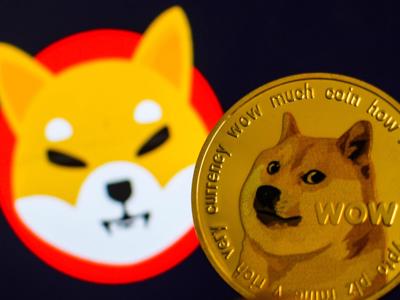 Vì sao hai “trò đùa” Dogecoin và Shiba Inu lọt top 10 tiền ảo lớn nhất thế giới?