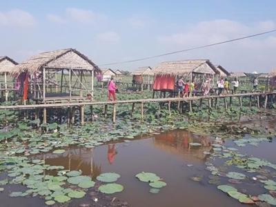 Mở ra nhiều hướng canh tác mới cho mùa nước nổi tại Đồng bằng sông Cửu Long