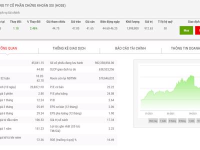 SSI lên kế hoạch chào bán hơn 497 triệu cổ phiếu để tăng vốn điều lệ 