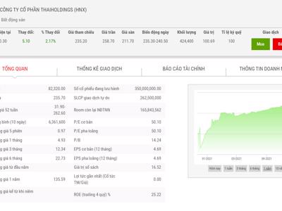 Thaiholdings sẽ thoái vốn đầu tư tại Thaihomes và Công ty Tôn Đản Hà Nội