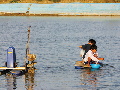 Cần trợ lực để phục hồi bền vững doanh nghiệp Đồng bằng sông Cửu Long 