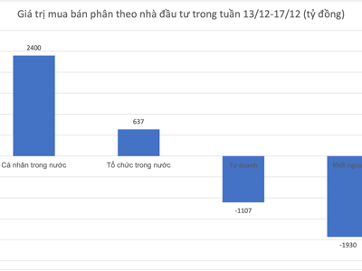 Mua ròng gần 21.000 tỷ đồng trong 7 tuần liên tiếp, nhà đầu tư cá nhân đang tập trung gom cổ phiếu nào?