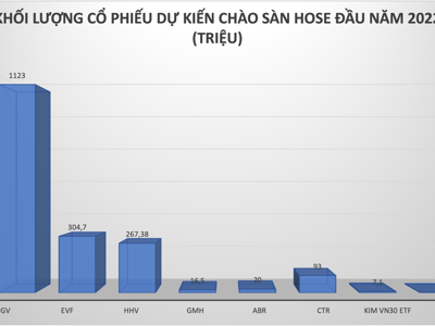 Gần 2 tỷ cổ phiếu sẽ đổ bộ lên sàn HOSE vào đầu năm 2022