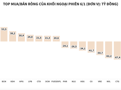 Khối ngoại gom cổ phiếu bất động sản nhưng vẫn bán ròng toàn thị trường