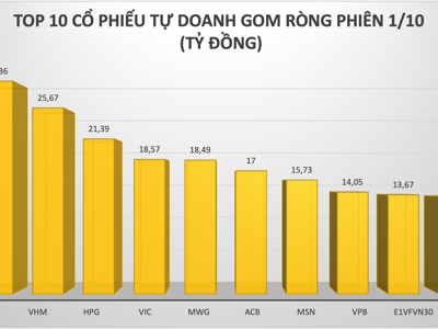 Tự doanh tích cực gom hàng trong phiên Vn-Index "bốc hơi" gần 25 điểm