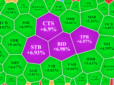 Blue-chips đảo chiều kéo VN-Index tăng ngược, ngân hàng chiếm 51% giá trị rổ VN30