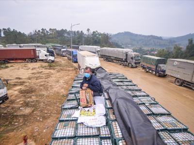 Lạng Sơn tạm dừng tiếp nhận phương tiện chở hoa quả tươi lên cửa khẩu từ 17/01/2022