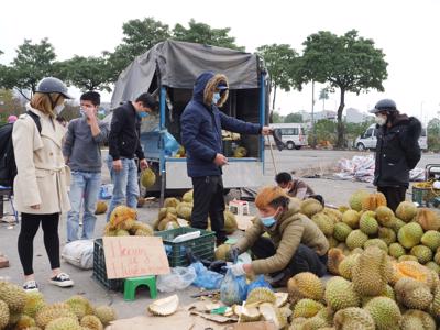 Nông sản tiếp tục “gặp hạn” đầu năm, thêm cửa khẩu tại Lào Cai dừng nhận xe chở trái cây