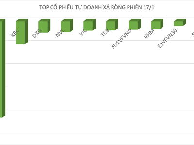 Tự doanh xả ròng phiên bốc hơi 43 điểm, cổ phiếu nào bị "phang" nhiều nhất? 