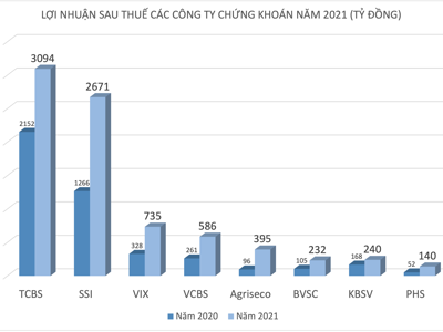 Nhiều công ty chứng khoán báo lãi kỷ lục trong năm 2021