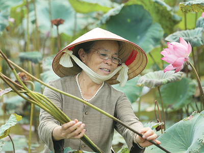 Dệt tương lai làng nghề từ tinh túy quốc hoa