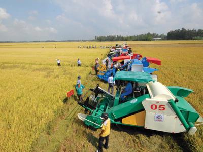 Nông nghiệp “ngôi nhà” an toàn của người Việt