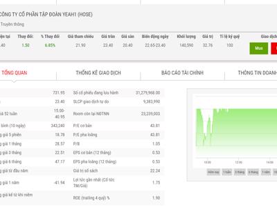 Cổ đông ngoại muốn bán hết 9,74% vốn tại YEG