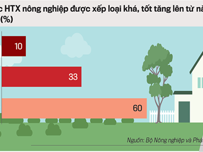 Dư địa phát triển hợp tác xã nông nghiệp còn rất lớn