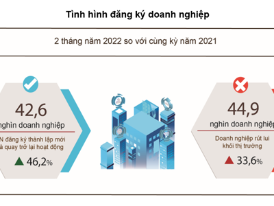 Tết Nguyên đán kéo dài, doanh nghiệp thành lập mới giảm mạnh