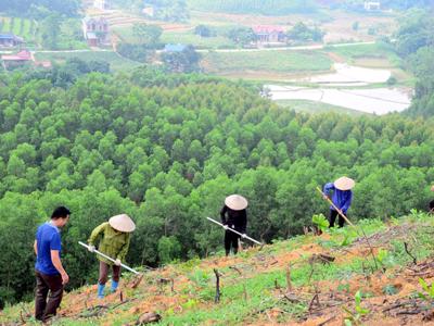 ADB đầu tư 15 triệu USD vào Quỹ Rừng nhiệt đới châu Á số 2 để thúc đẩy lâm nghiệp bền vững