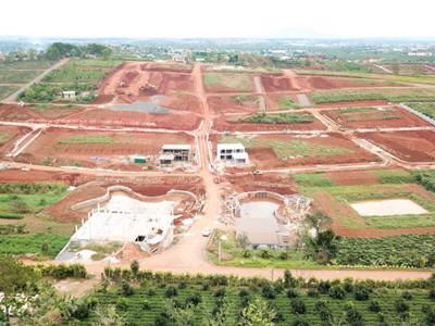 Quảng Ninh: UBND huyện Vân Đồn đã phục hồi chính sách cho tách thửa, chuyển đổi mục đích sử dụng đất