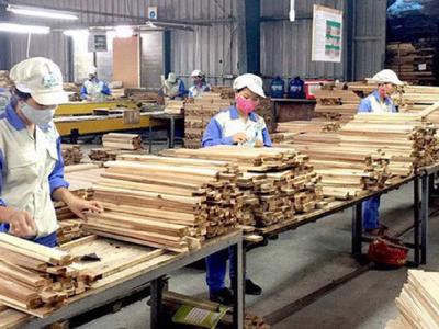 Cuộc chiến Nga - Ukraine đẩy ngành gỗ Việt Nam vào nguy cơ thiếu nguyên liệu