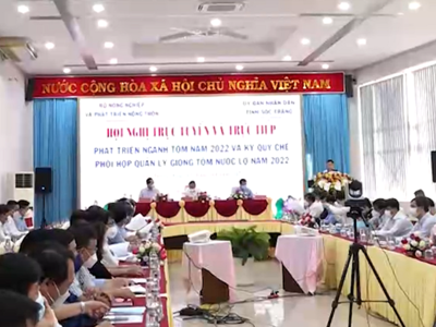 Sản xuất tôm thiếu bền vững do phụ thuộc nhập khẩu