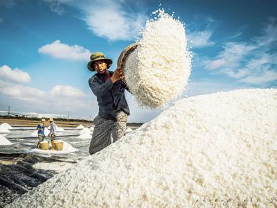 Bạc Liêu, Đồng Tháp...hướng đến phát triển bền vững, nông dân "đổi đời"