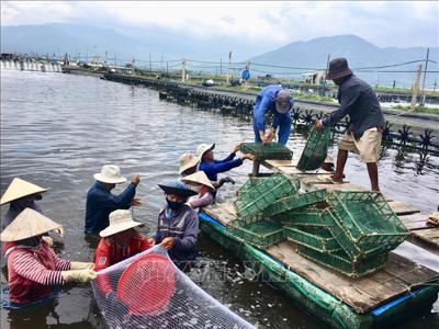 Bộ Tài chính đề xuất giảm 30% tiền thuê đất và thuê mặt nước trong năm 2022