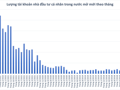 Thêm 232.000 tài khoản cá nhân mở mới trong tháng 4 bất chấp thị trường rớt thảm