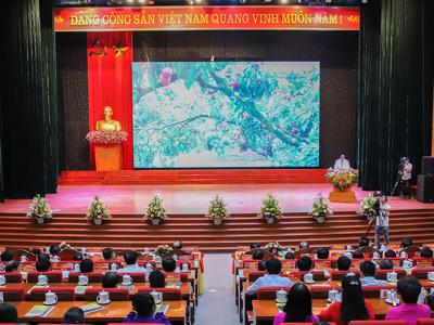 Bắc Giang “chiêu thương” bốn phương đến thu mua vải thiều