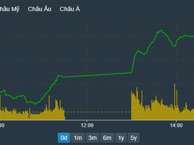 Rực rỡ, VN-Index tăng 35 điểm, gần 50 mã kịch trần