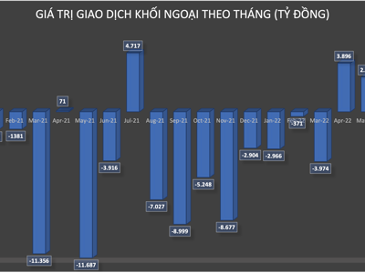 VN-Index "gục ngã" trong tháng 5, khối ngoại tranh thủ mua ròng gần 3.000 tỷ đồng cổ phiếu Việt Nam