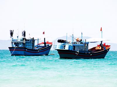 Bộ Nông nghiệp và Phát triển nông thôn yêu cầu chấm dứt tình trạng tàu cá vi phạm IUU