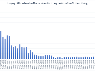 Bùng nổ số tài khoản cá nhân: Kỷ lục 476.000 tài khoản mở mới trong tháng 5 gấp đôi tháng 4