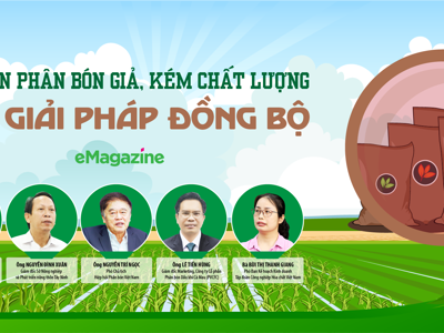 Dẹp nạn phân bón giả, kém chất lượng: Cần giải pháp đồng bộ 