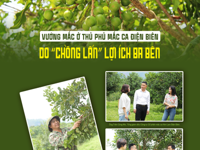 Vướng mắc ở thủ phủ mắc ca Điện Biên: Do “chồng lấn” lợi ích ba bên